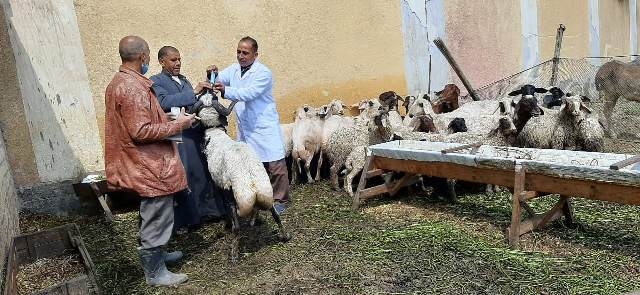 القافله البيطرية ابريل 2021 6
