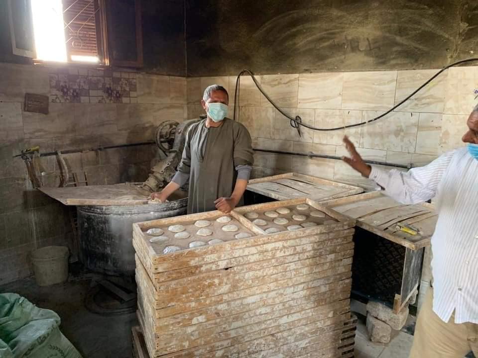 جانب من حملات ضبط الأسواق في الوادي الجديد (4)