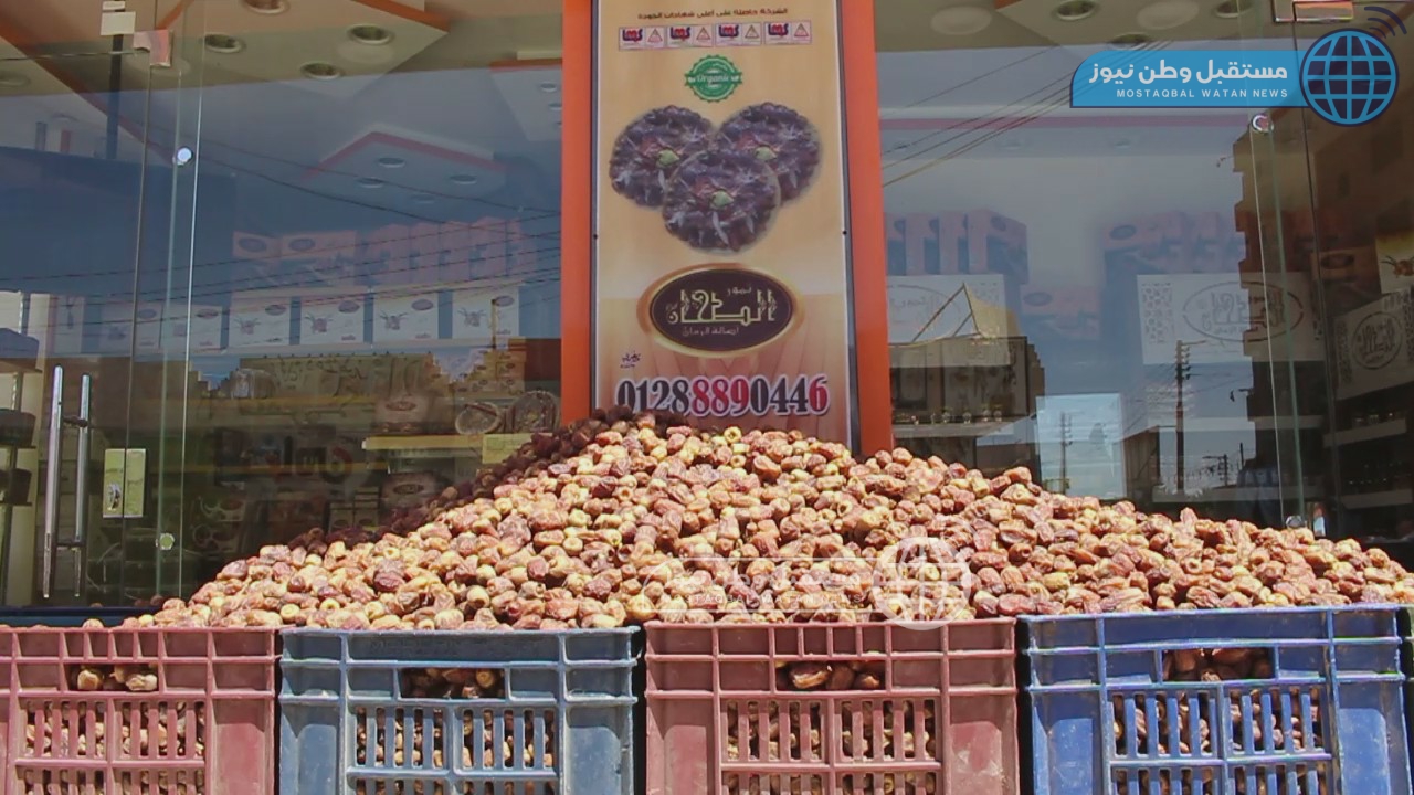 البلح السيوي في الوادي الجديد