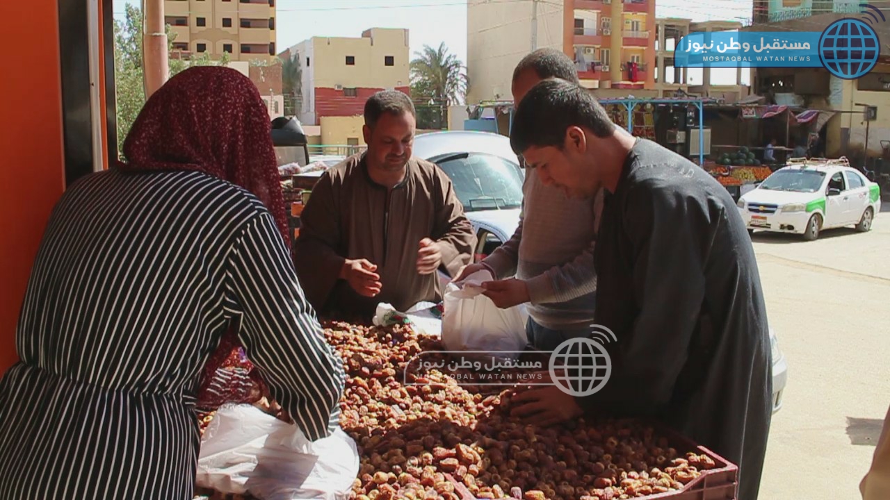 شراء البلح السيوي1