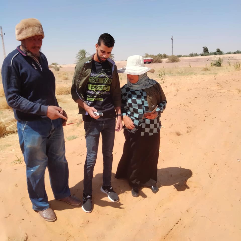 إزالة تعدي على أملاك الدولة بالزراعة بواحة الخارجة في الوادي الجديد (2)