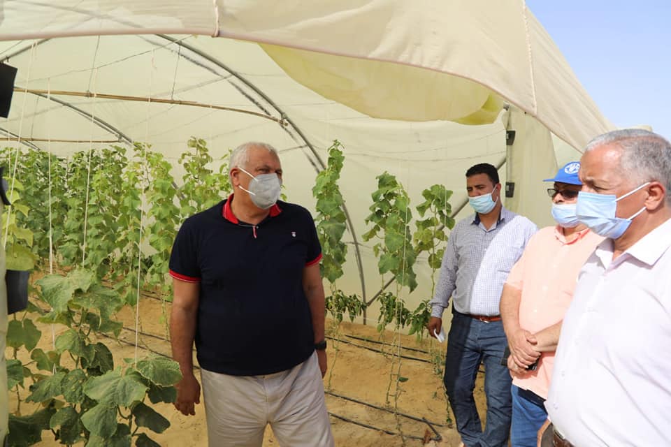 محافظ الوادي الجديد يستجيب لمطلب شاب بتجديد التعاقد لمشروع صوب زراعية بقرية القصر بالداخلة (3)