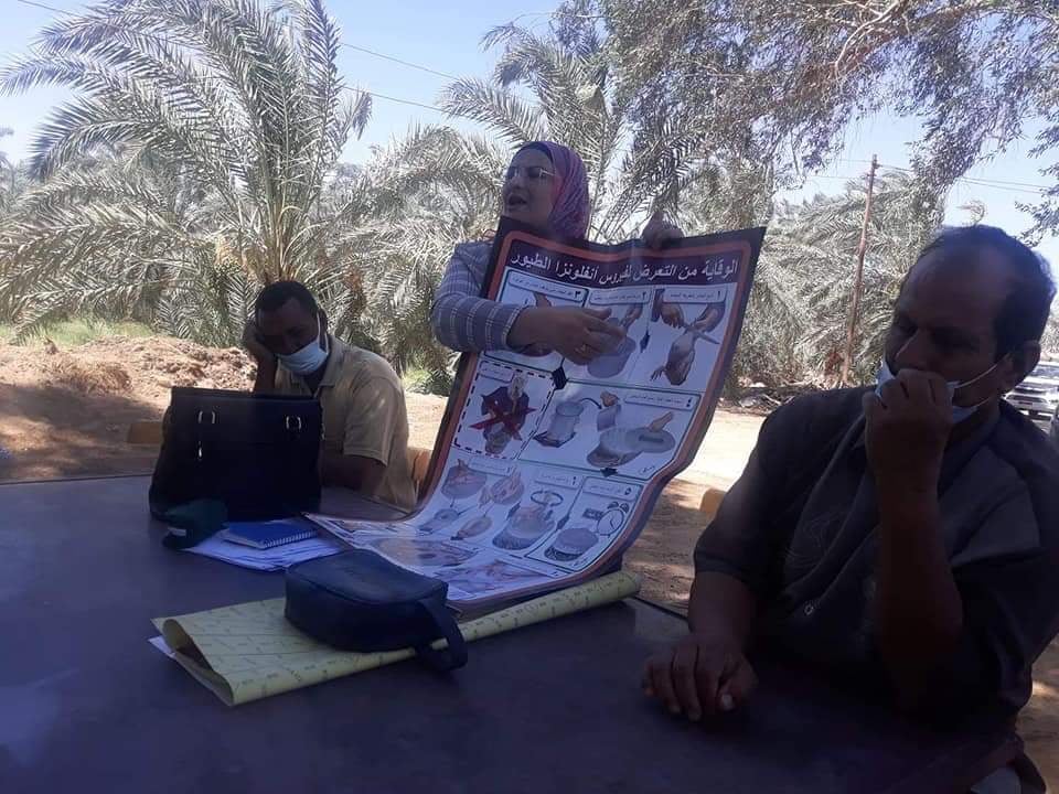 ندوة بيطرية