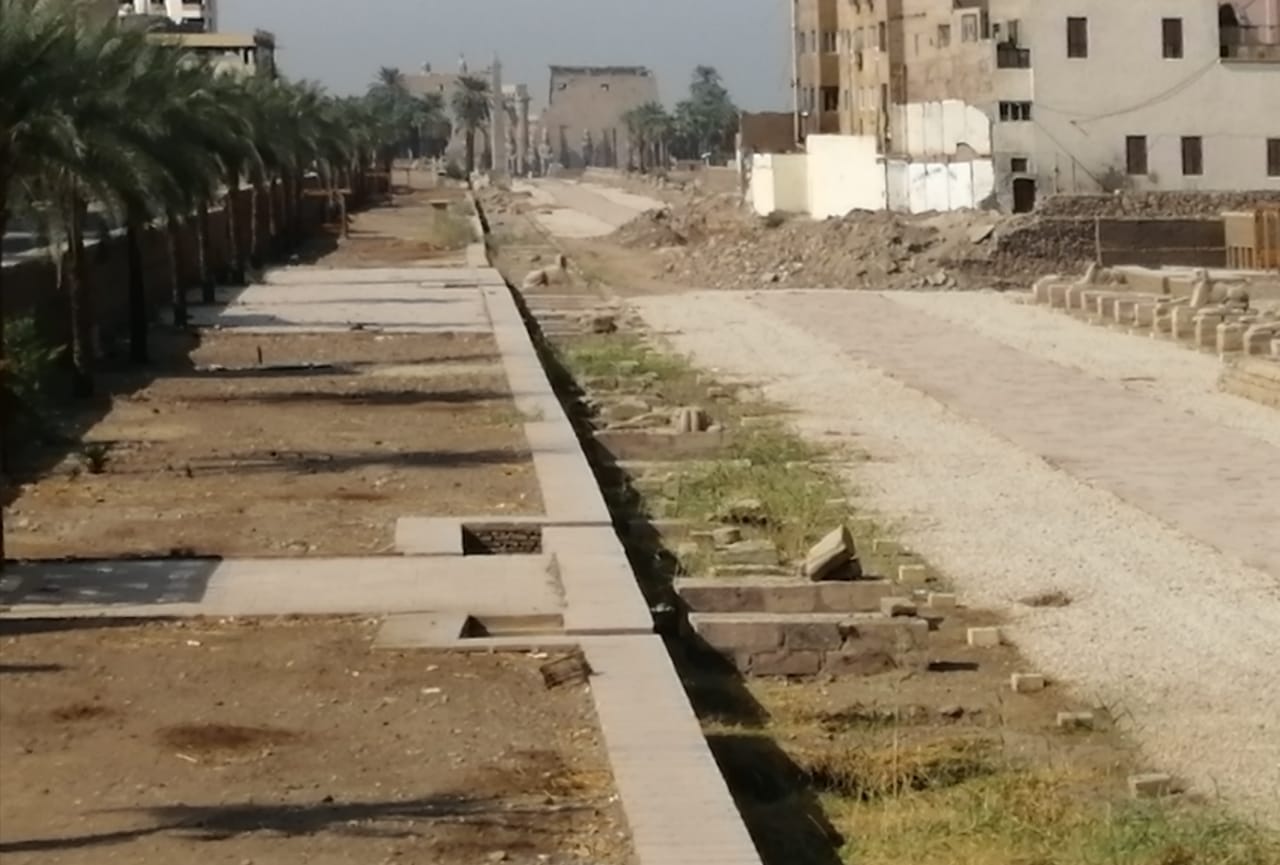 طريق الكباش من ناحية معبد الأقصر (3)