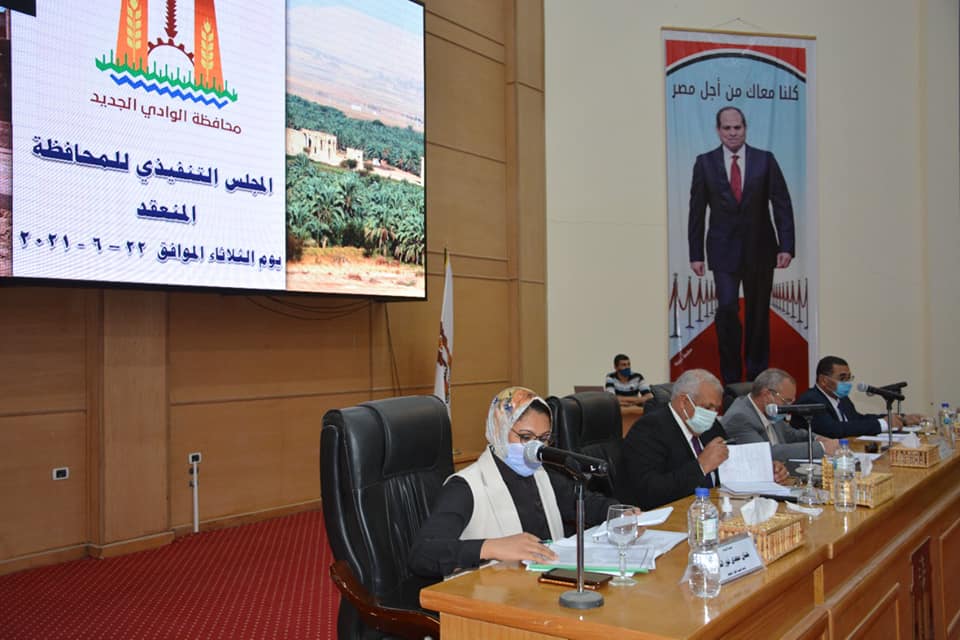 المجلس التنفيذي لمحافظة الوادي الجديد (3)