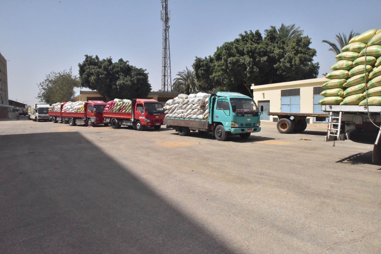 تفقد صوامع القمح (4)-1