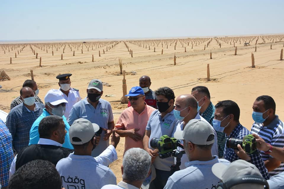 وقف خيري لزراعة النخيل بالفرافرة في الوادي الجديد (2)
