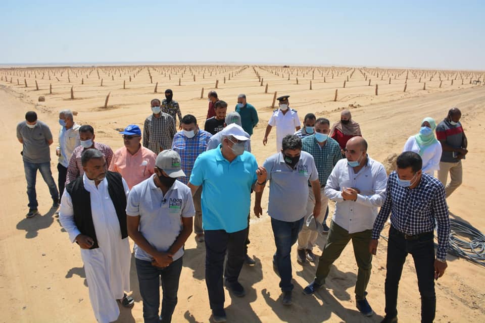 وقف خيري لزراعة النخيل بالفرافرة في الوادي الجديد (3)