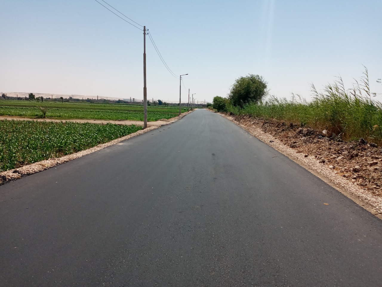 رصف القوصية (2)