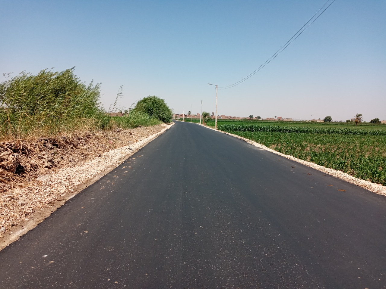 رصف القوصية (1)