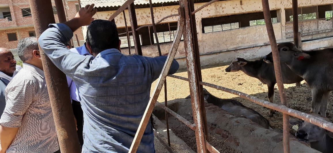 محافظ أسيوط يوجه بمتابعة مشروعات حياة كريمة والنائب يقوم بجولة تفقدية بمركز ومدينة الفتح (7)