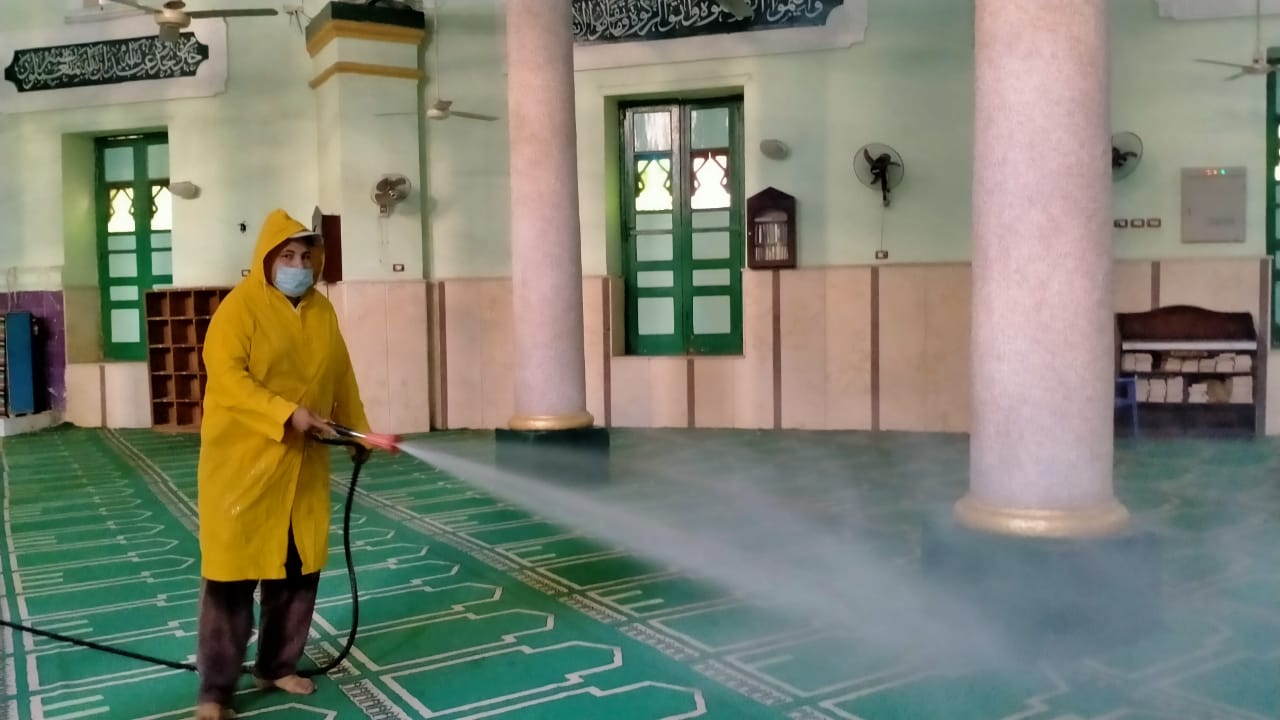 حملات تطهير وتعقيم (12)