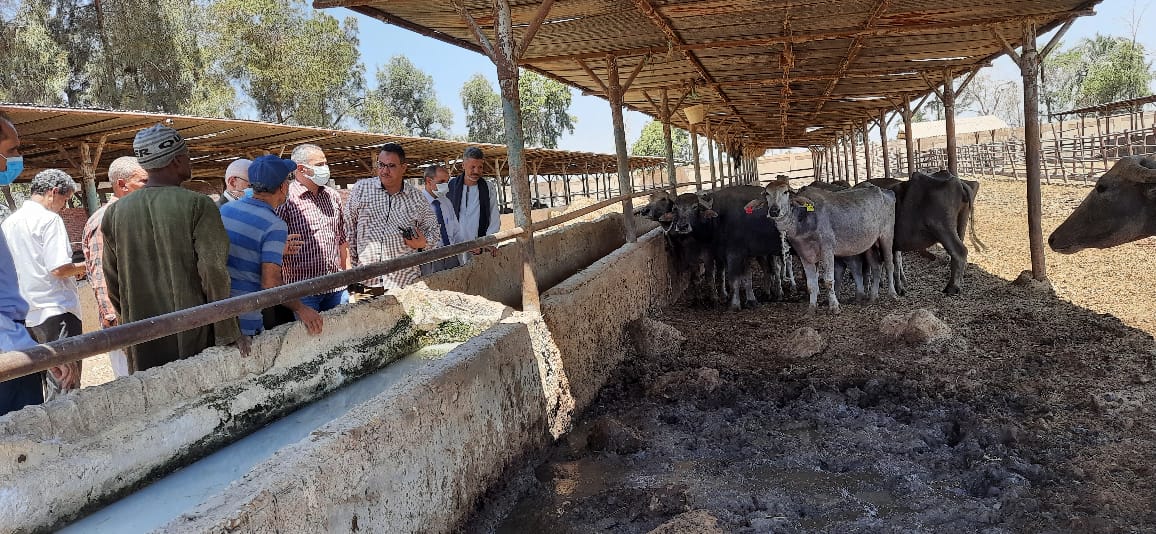 محافظ أسيوط يوجه بالمرور الدوري علي مشروعات حياة كريمة ونائبه يقوم بجولة تفقدية منفلوط (9)