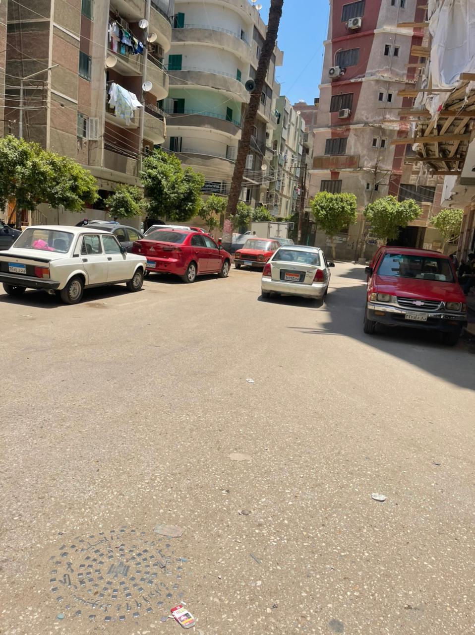 حملة نظافة برئاسة السكرتير المساعد (7)