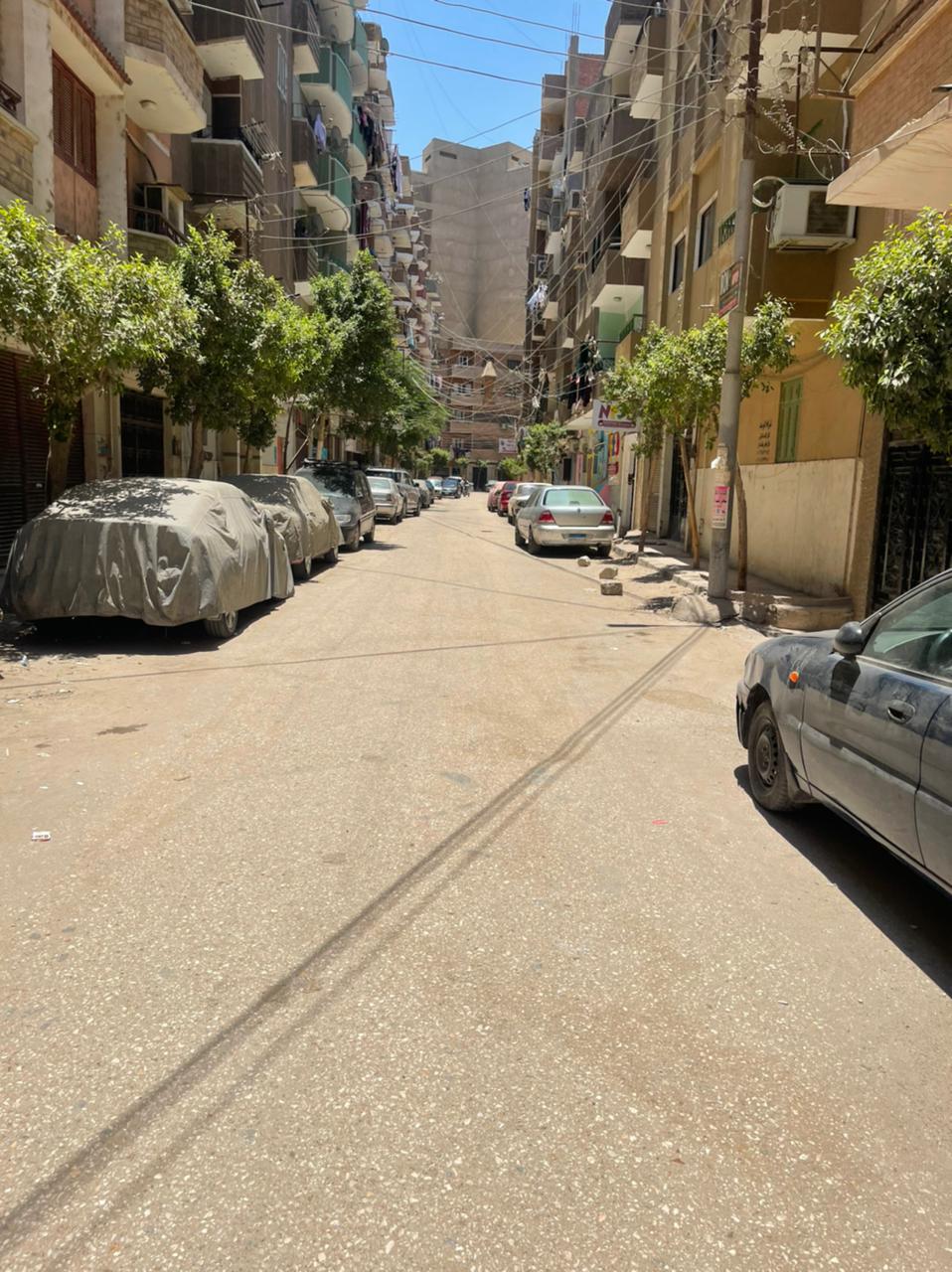 حملة نظافة برئاسة السكرتير المساعد (6)