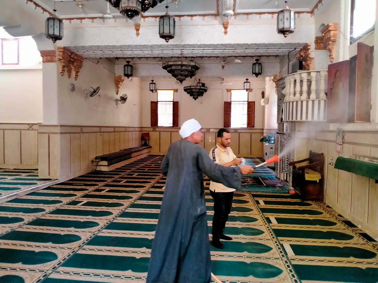 حملات تطهير وتجميل (2)