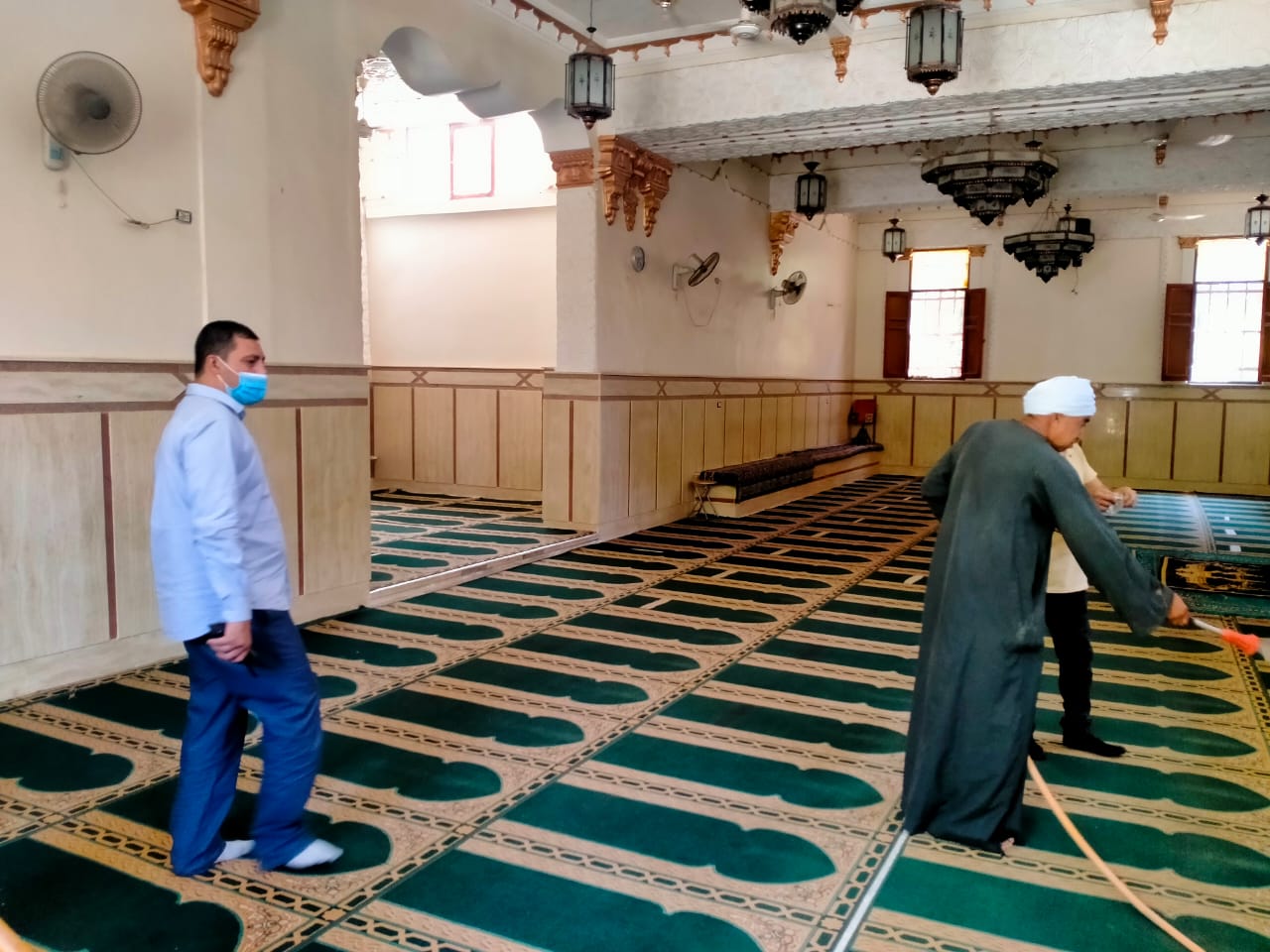 حملات تطهير وتجميل (26)