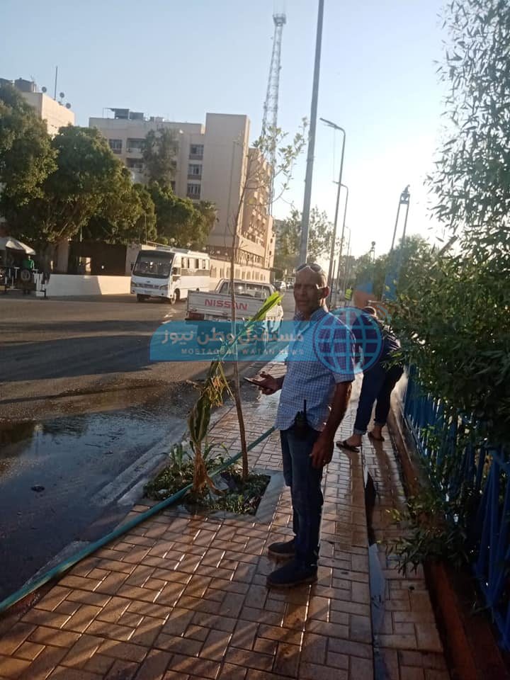 غسيل الأرصفة بشوارع حي شرق ضمن خطة التطوير والتجميل (2)