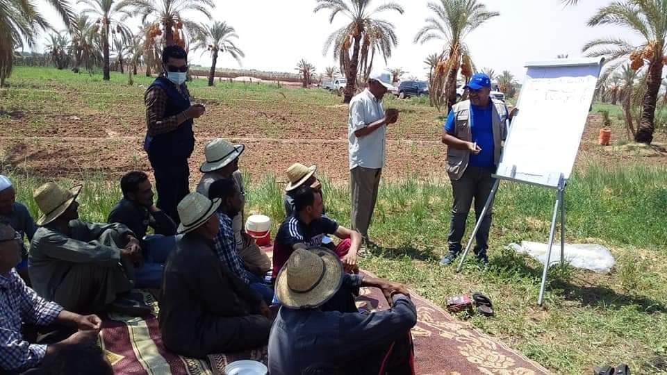اعتماد اول مدرسة حقلية بالمحافظة بدعم منظمة الفاو (2)