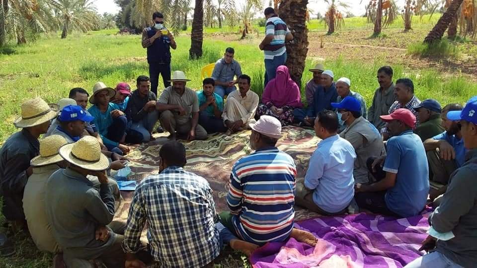 اعتماد اول مدرسة حقلية بالمحافظة بدعم منظمة الفاو (4)