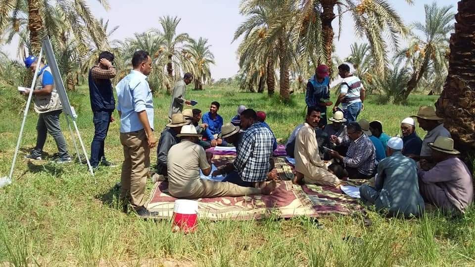 اعتماد اول مدرسة حقلية بالمحافظة بدعم منظمة الفاو (5)