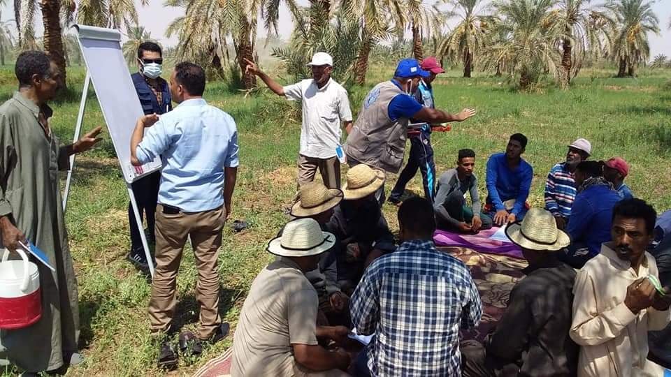 اعتماد اول مدرسة حقلية بالمحافظة بدعم منظمة الفاو (8)