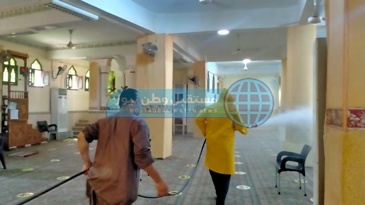 حملات تطهير (12)