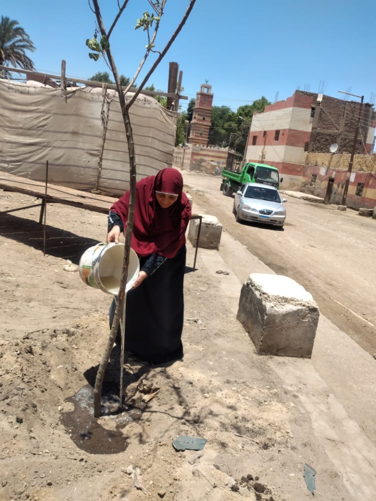 حملة نظافة وتشجير وندوات توعية بقرية بني مر بمركز الفتح (4)