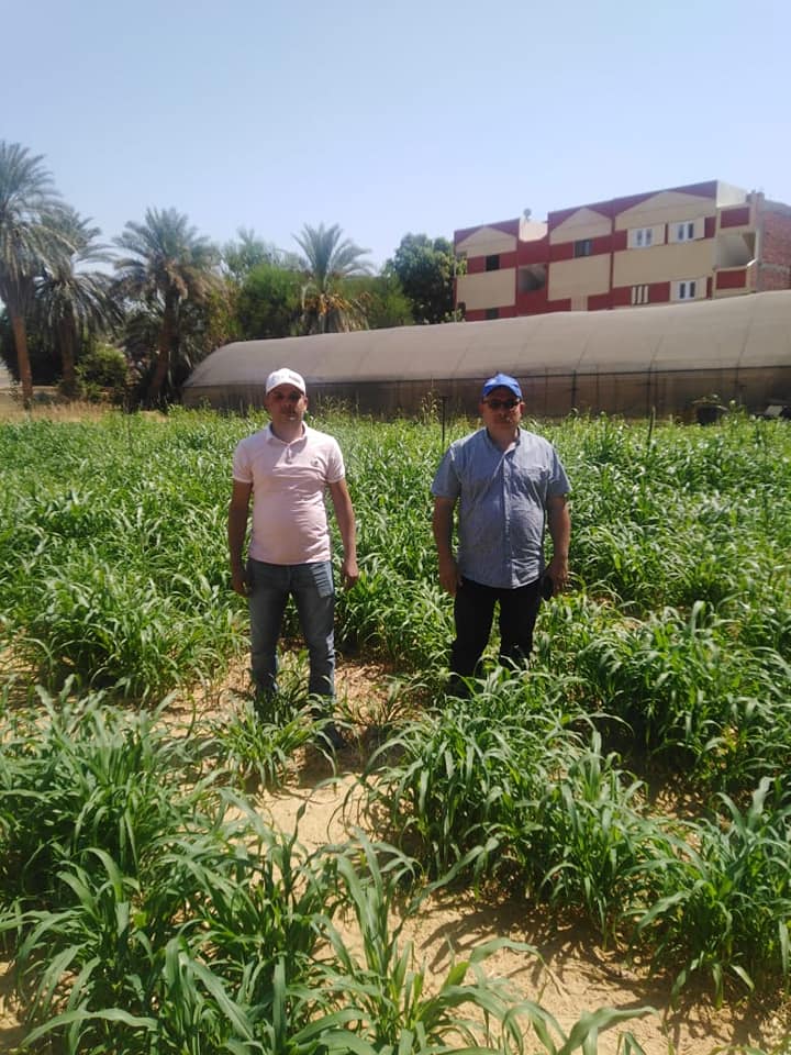 الوادي الجديد تنفذ مشروع العيادة الزراعية (2)