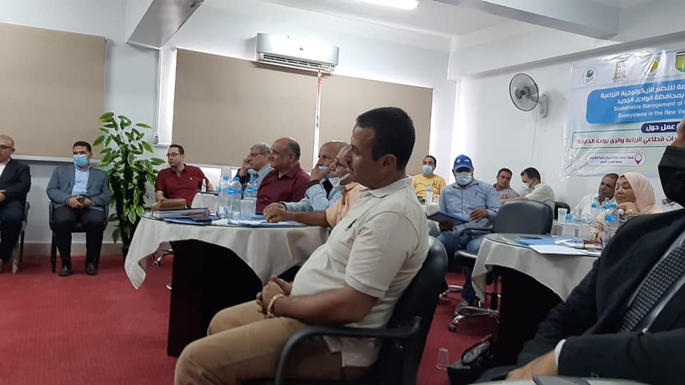 منظمة الفاو تعقد ورش عمل عن أنشطة مشروع تطوير الري لموظفي زراعة الوادي الجديد (4)
