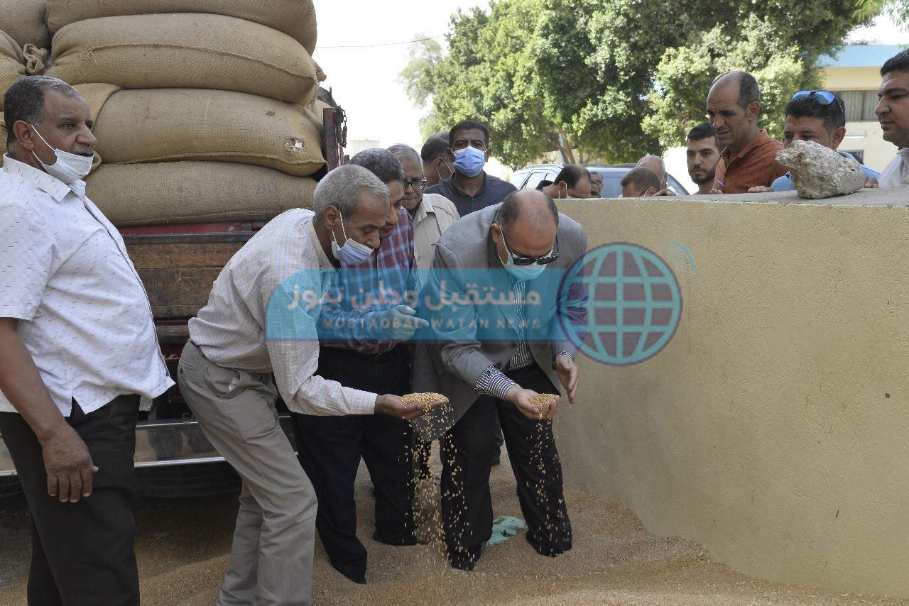 محافظ أسيوط يتفقد صوامع شركة مطاحن مصر الوسطى للتأكد من سلامة الاقماح (3)