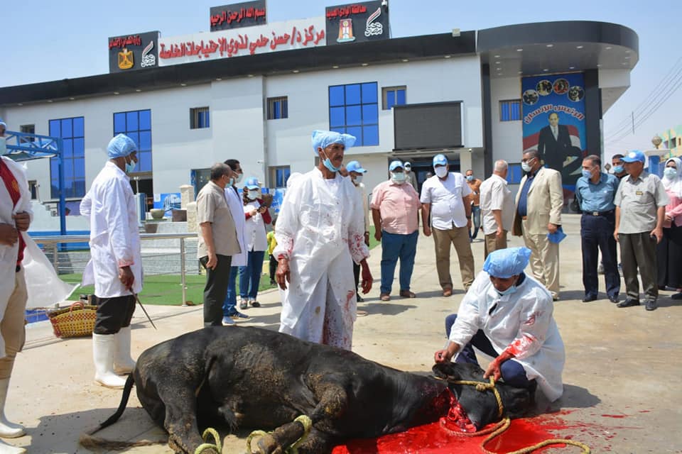 ذبح العجول احتفالا باستكمال مركز حسن حلمي (2)