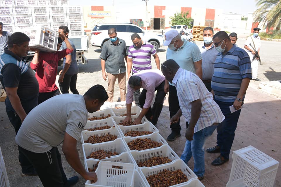 محافظ الوادي الجديد يتفقد مجمع التمور (3)