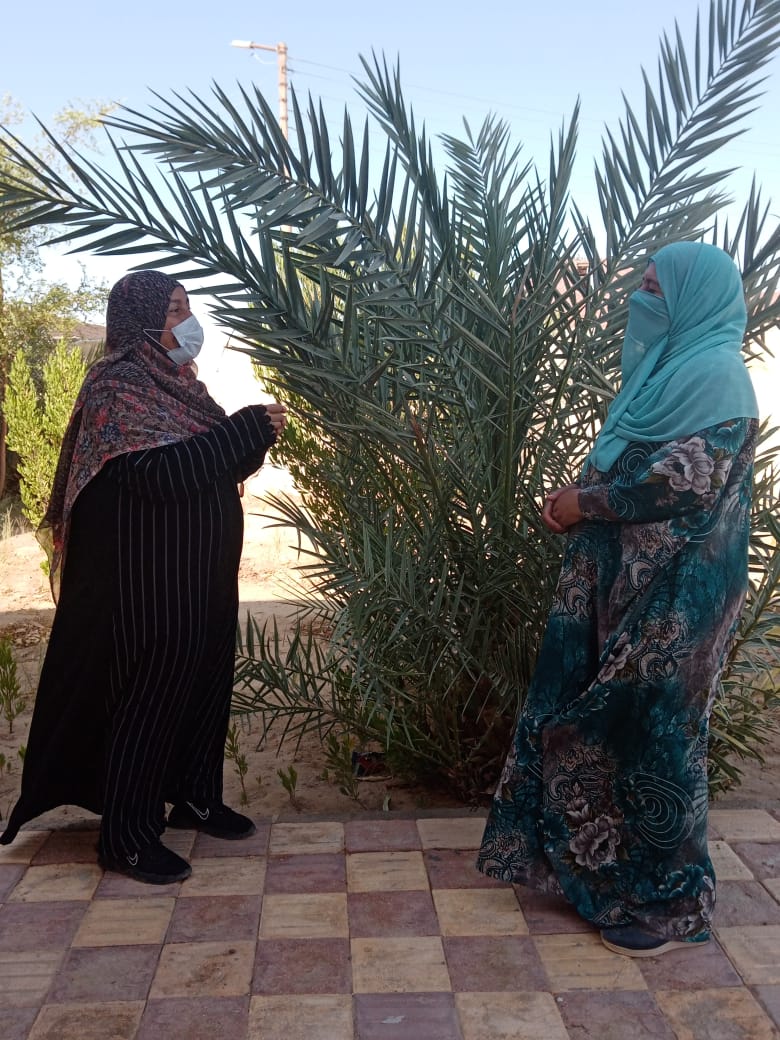 حملات طرق الابواب وورش فنية بقومي المرأة في الوادي الجديد (10)