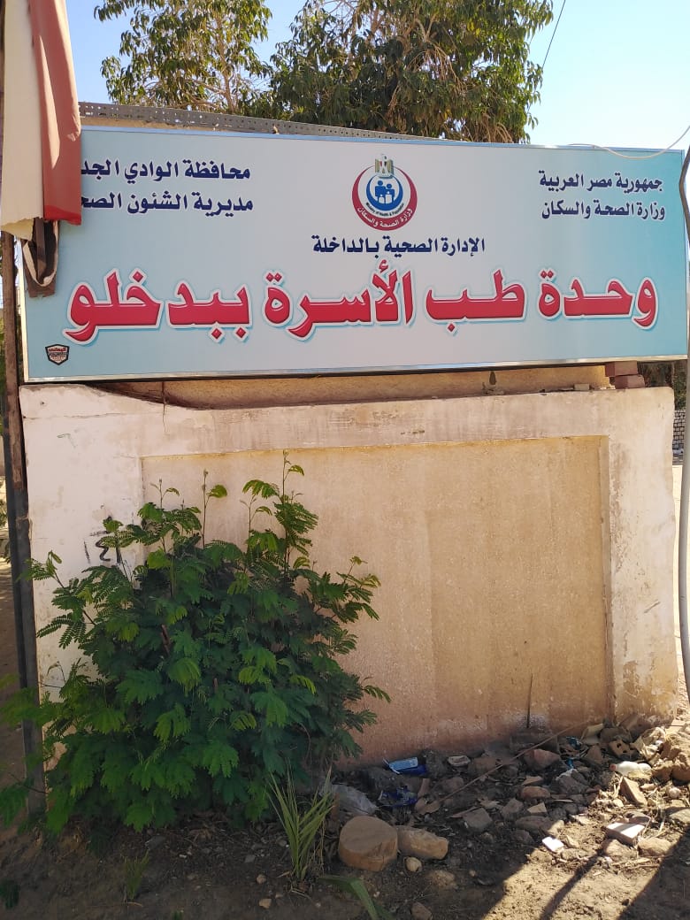 الكشف وصرف الدواء بالمجان لـ103 مواطنا في قافلة طبية بالوادي الجديد (9)