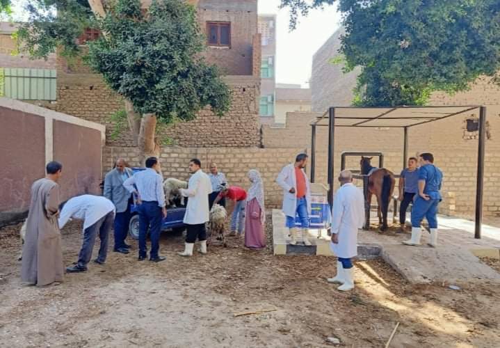 قافلة بيطرية بدير الجنادلة (2)