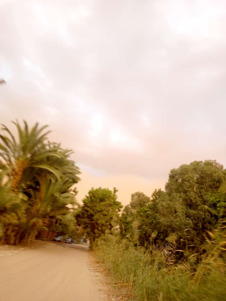 IMG-20211113-WA0031