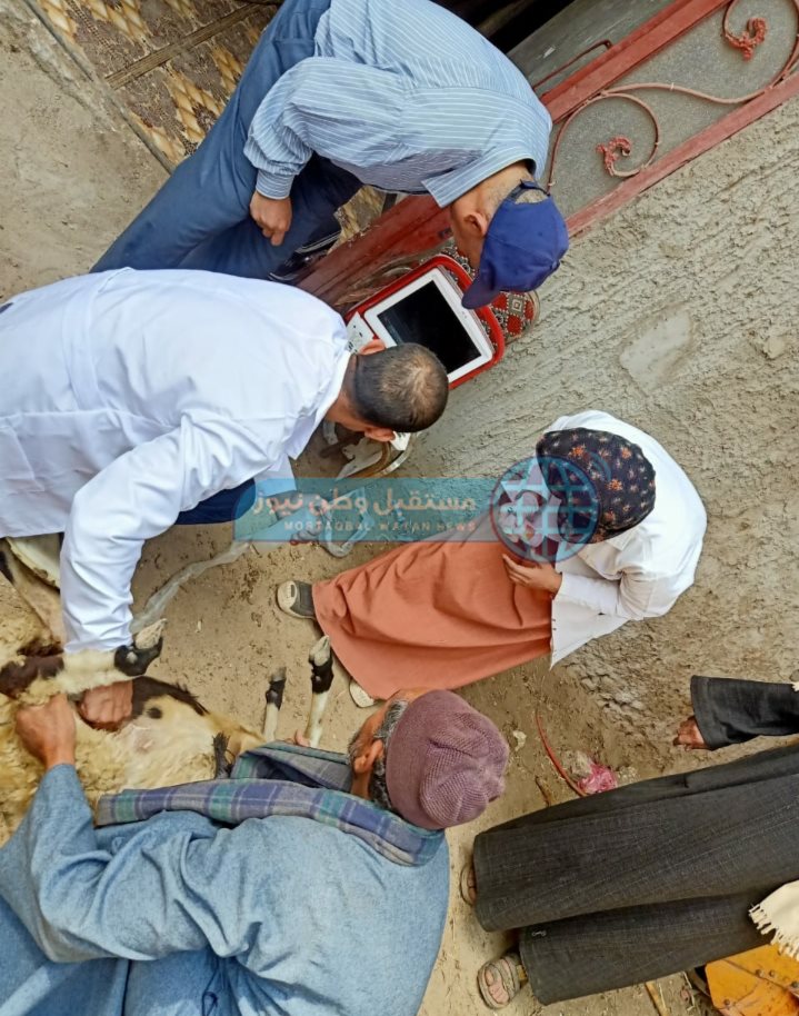 قافلة بيطرية (6)