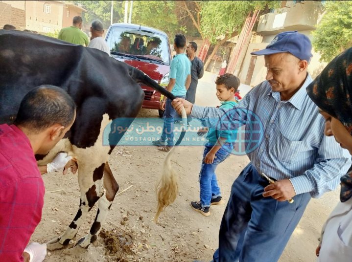 قافلة بيطرية (3)