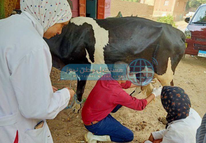 قافلة بيطرية (1)