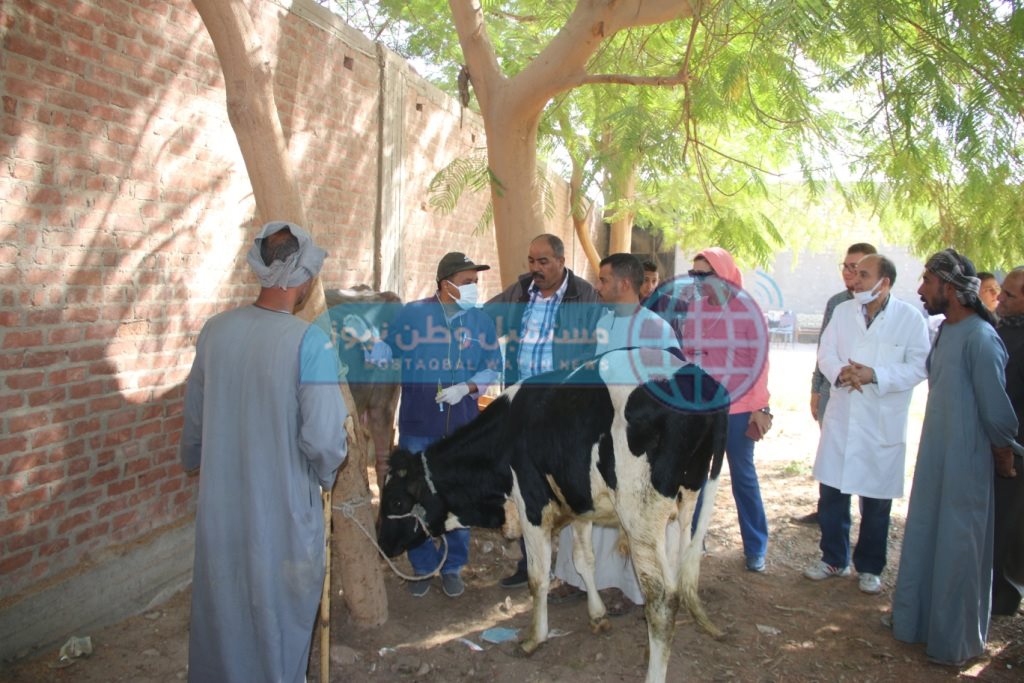 القافلة
