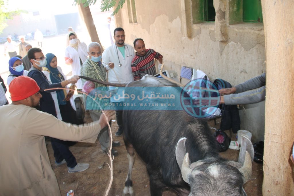 القافلة