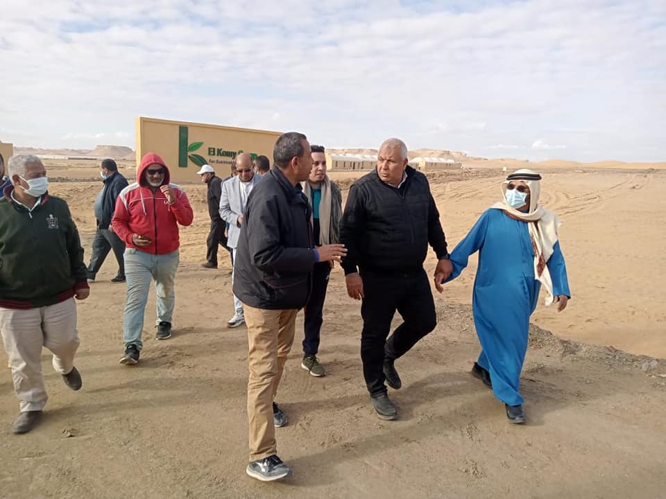 وفد العربية للاستثمار يزور مشروعات الاستثمار الزراعي بالفرافرة في الوادي الجديد (1)