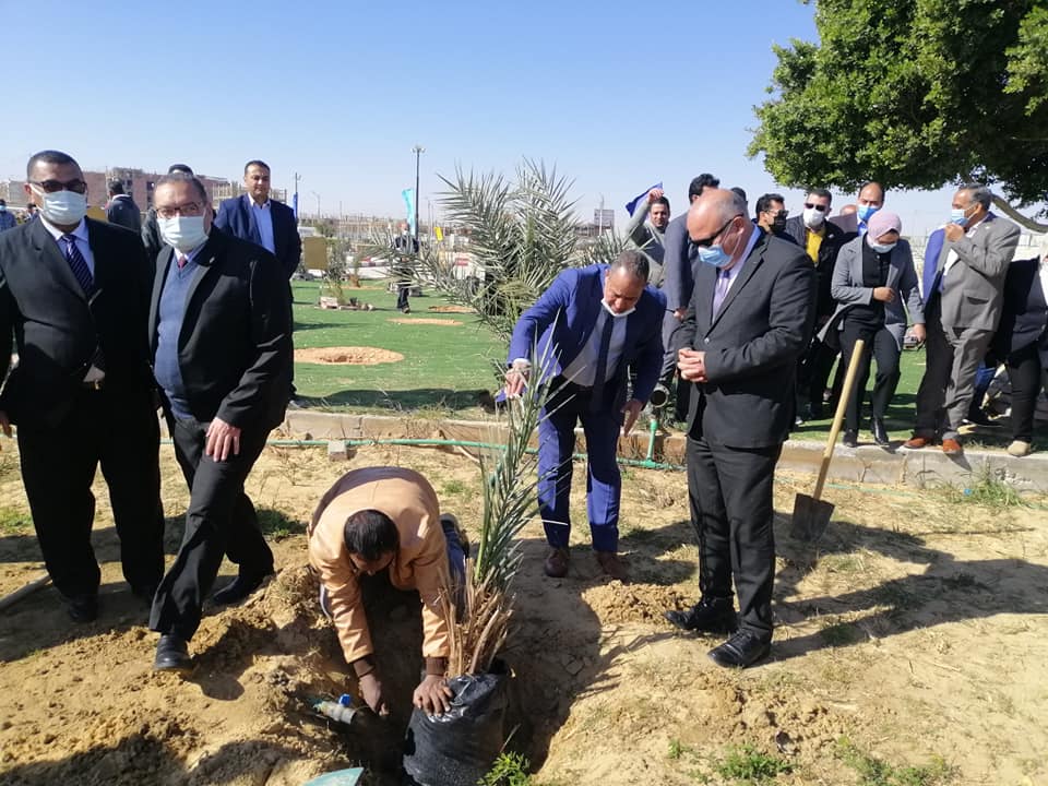 غرس نخلة بحديقة 30 يونيو