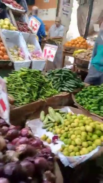جولة داخل سوق الشعلة بالخارجة (20)