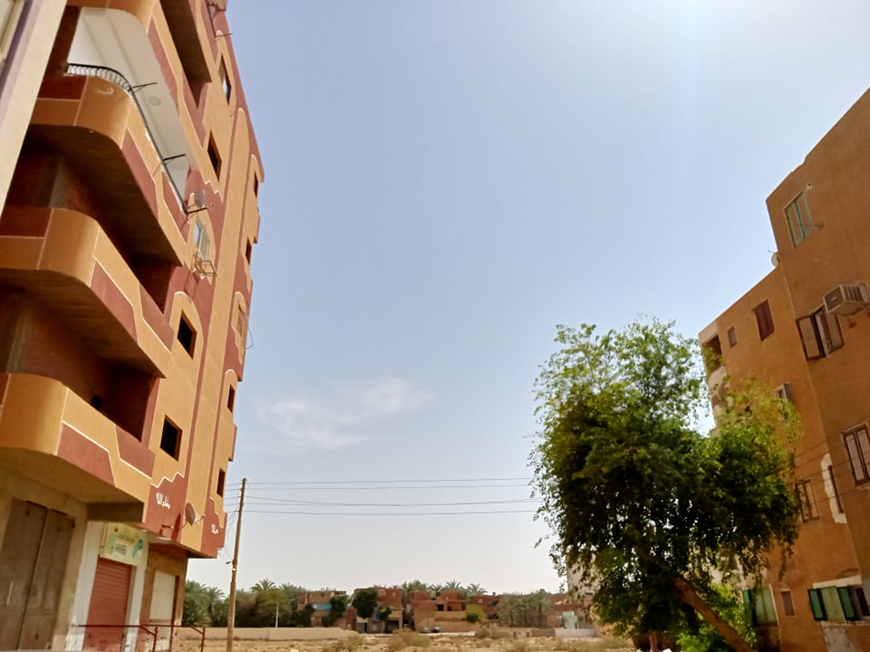 حار جاف في ثالث أيام رمضان في الوادي الجديد (2)