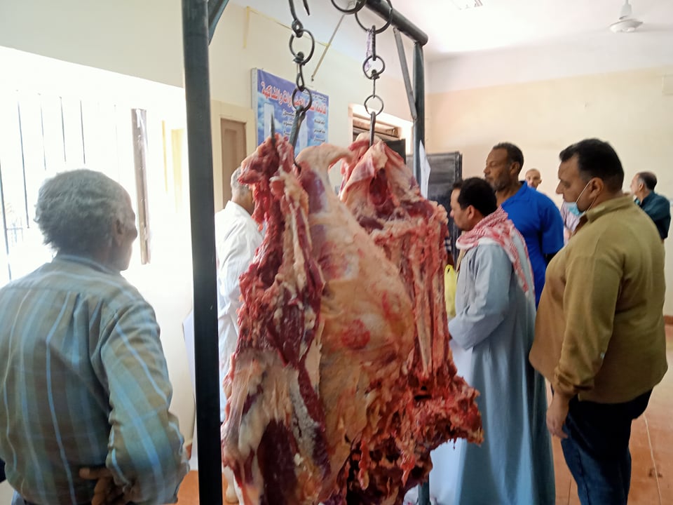 منفذ بيع الحوم البلدية بالخارجة (3)