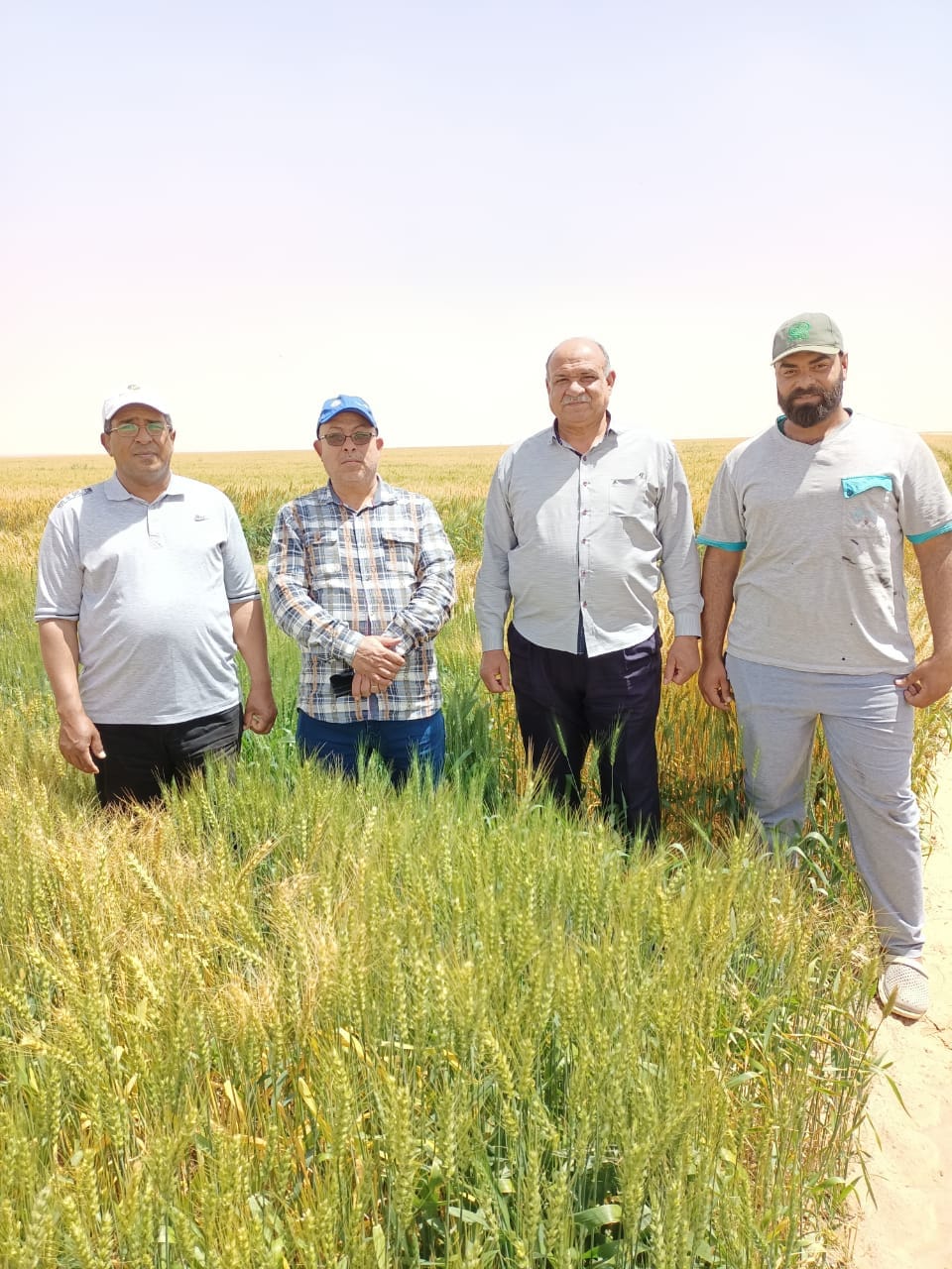 وكيل الزراعة بالوادي الجديد يتفقد مزارع شرق العوينات (4)