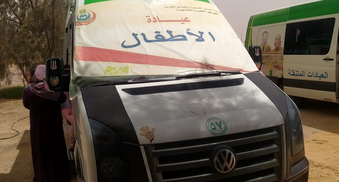 الكشف وصرف الدواء بالمجان لـ236 مواطنا في قافلة بالوادي الجديد (2)