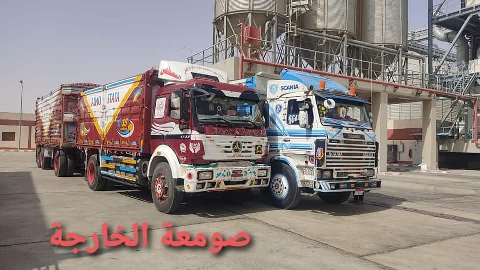 نوريد القمح للصمواع بالوادي الجديد (3)